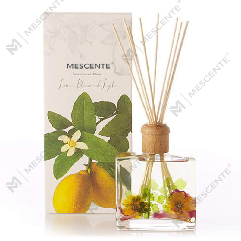 Diffuseur de roseaux aromatiques en bois de Sola de luxe de haute qualité et personnalisé avec boîte