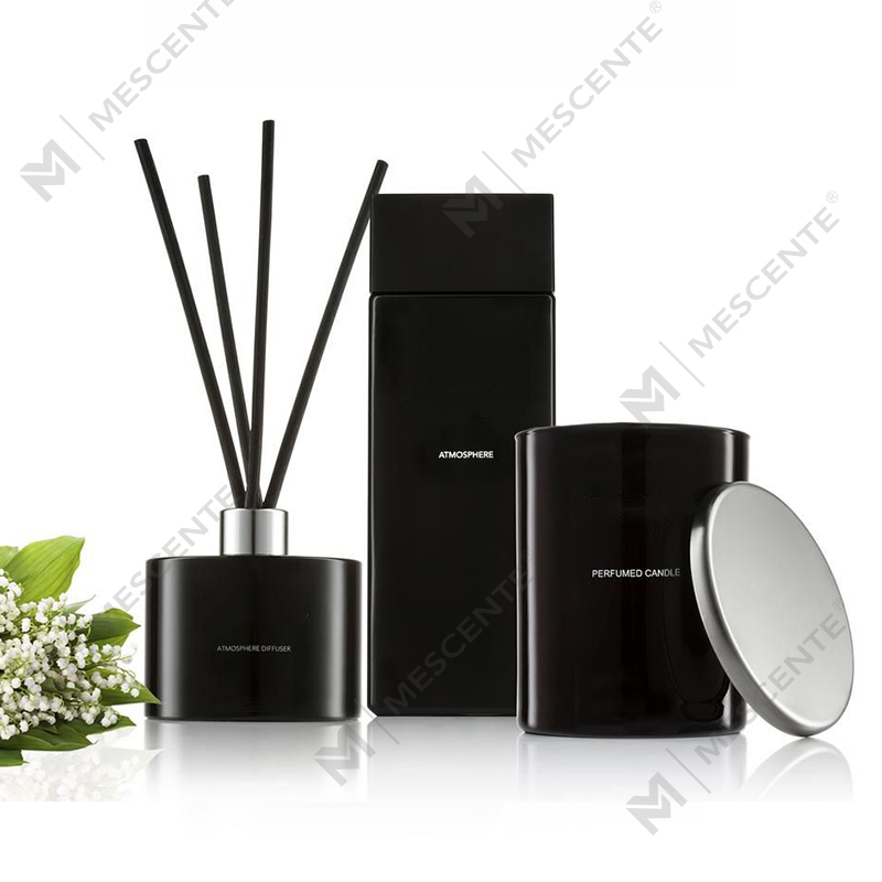 Huiles pour diffuseur de roseaux d'aromathérapie en bouteille givrée blanche de marque privée avec boîte A29148