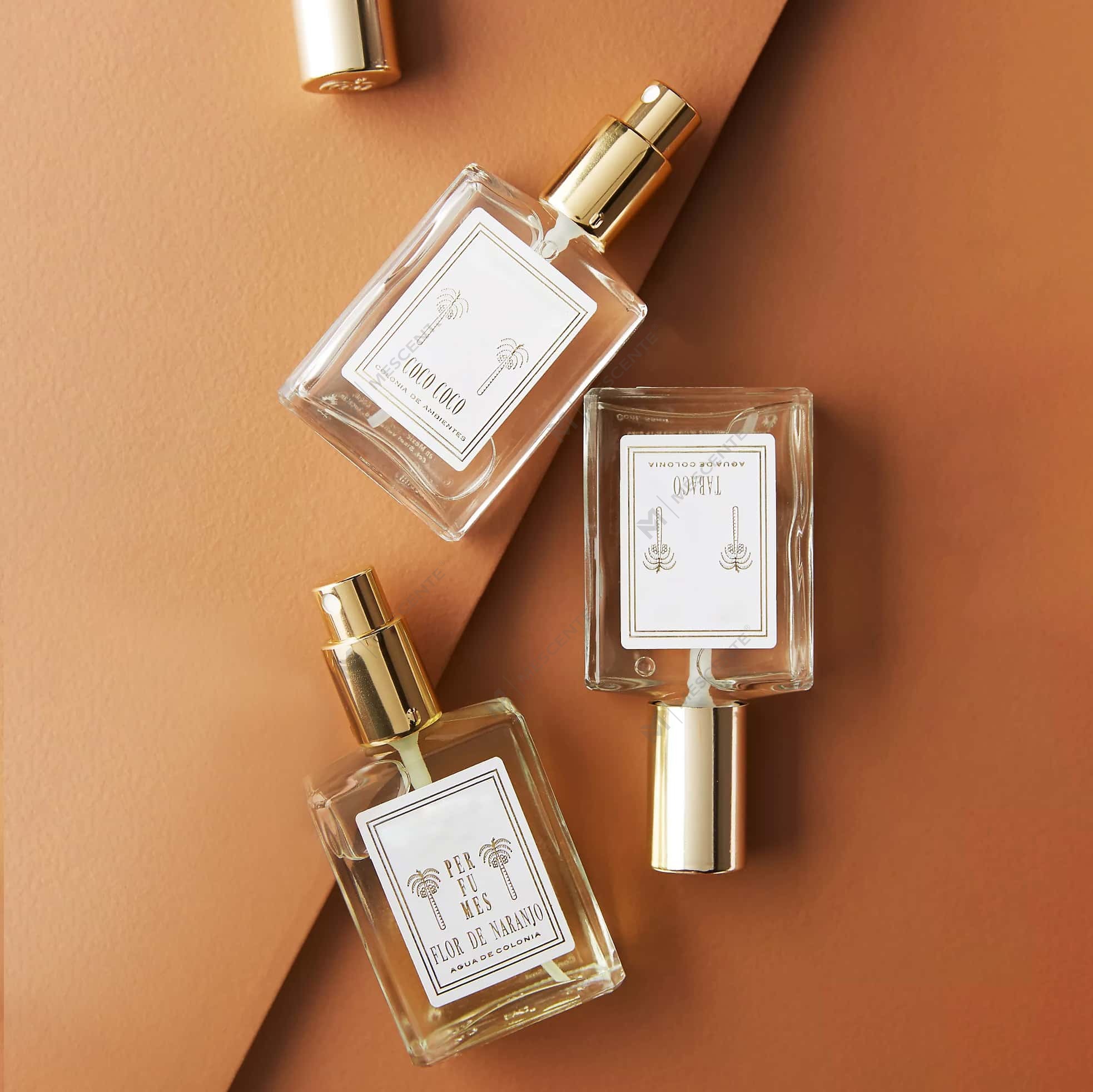 Spray d'ambiance de luxe : sublimez votre maison avec des parfums durables et sans danger pour les animaux