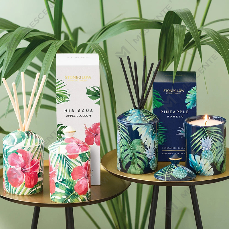 M&Scent Bougie en gobelet colorée au design spécial, thème Botaniques Urbaines, avec boîte pliable